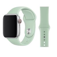 Original Apple Sport Armband M/L 38/40/41mm MWUM2ZM/A...