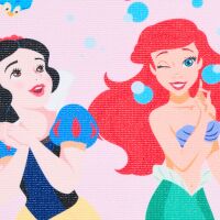 Disney Prinzessin Bird Handtuch, Gesichtshandtuch, 40x30 cm