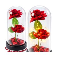Ewige 2 Rosen Glaskuppel LED Rot 21 cm Geschenk