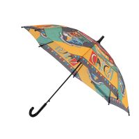 Harry Potter Regenschirm 68cm Stockschirm für Kinder
