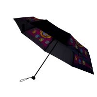 Harry Potter Taschenschirm 52cm Regenschirm faltbar