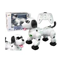 Interaktiver ferngesteuerter Roboter Doggy