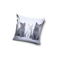 Katze Trio Dekokissenbezug 40x40 cm Samt