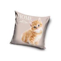 Katze Home Kissenbezug 40x40 cm Velours