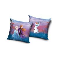 Disney Eiskönigin Kissenbezug 40x40 cm Samt