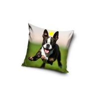 Hund Kissenbezug 40*40 cm