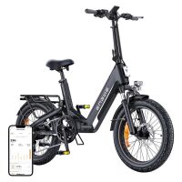 ENGWE L20 3.0 BOOST 250 W 20-Zoll-Elektrofahrrad (schwarz)