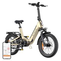 ENGWE L20 3.0 PRO 250 W 20-Zoll-Elektrofahrrad (Gold)