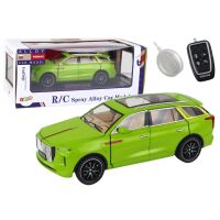 Aluminium RC Automodell 1:24 C Farbe Grün