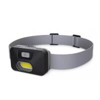Philips LED-Taschenlampe Leading
