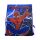 Spiderman Web Swing 4-teiliges Strandset (Turnbeutel + Baseballkappe